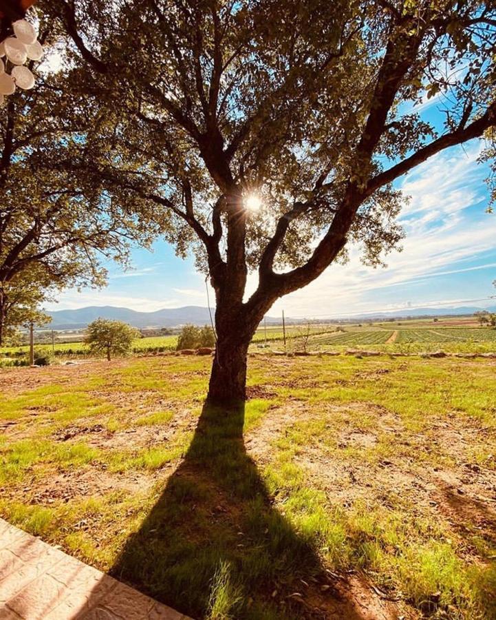 When In Maremma Apartamento Alberese Exterior foto