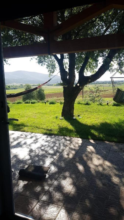 When In Maremma Apartamento Alberese Exterior foto